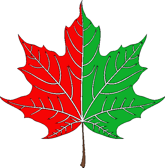 Ball game icon